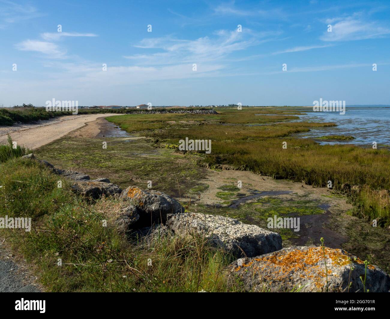 Riserva naturale nazionale di Moëze-Oléron. La Baudissière, Ile d'Oléron, Charente Maritime, Nuova Aquitania, Francia. Foto Stock