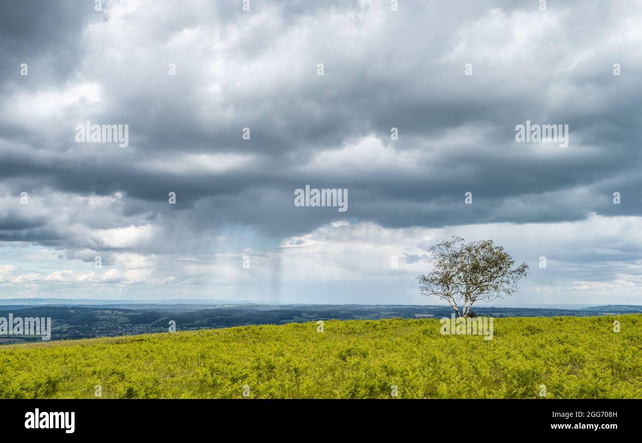 Nuvole su Black giù il punto più alto delle colline Mendip nel Somerset UK Foto Stock