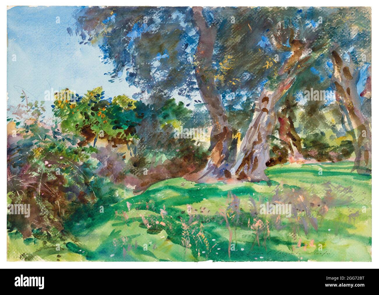 Olivi, Corfù di John Singer Sargent 1909 Foto Stock