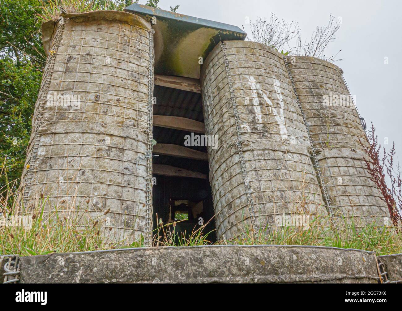 Esercito britannico militare rinforzato bunker o pillbox su Salisbury Plain, Wiltshire Regno Unito Foto Stock