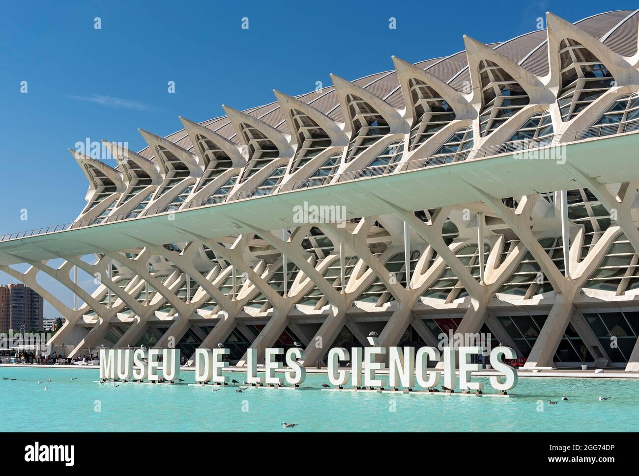 Museu de les Ciències (Museo della Scienza del Principe Filippo), Città delle Arti e delle Scienze, Valencia, Spagna Foto Stock