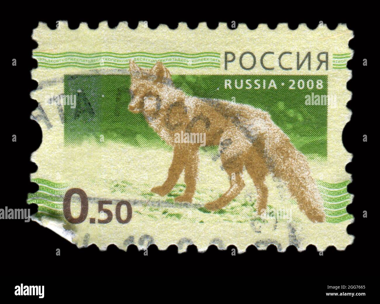 Timbro stampato in Russia mostra l'immagine della volpe, circa 2008. Foto Stock