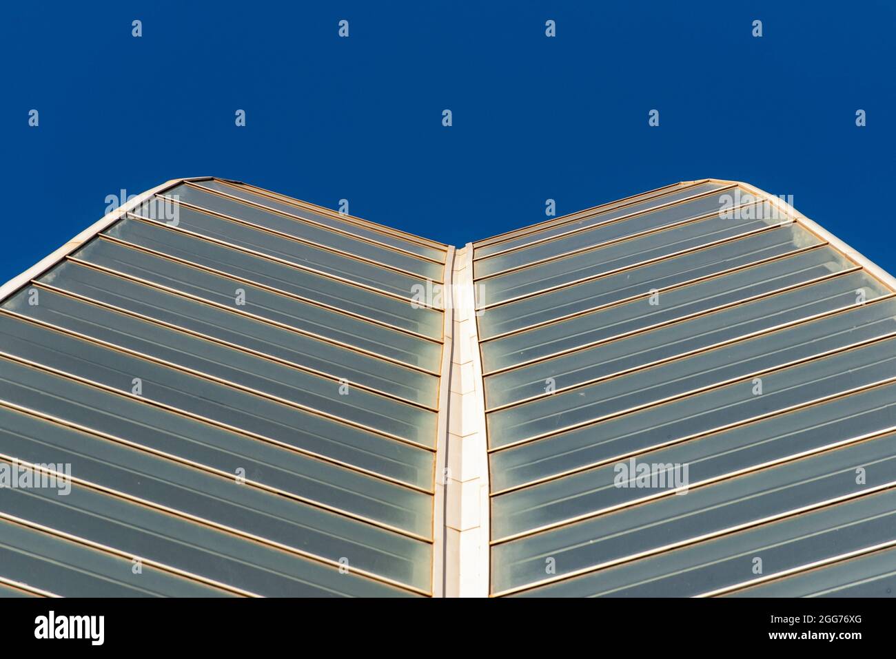 Museu de les Ciències (Museo della Scienza del Principe Filippo), Città delle Arti e delle Scienze, Valencia, Spagna Foto Stock