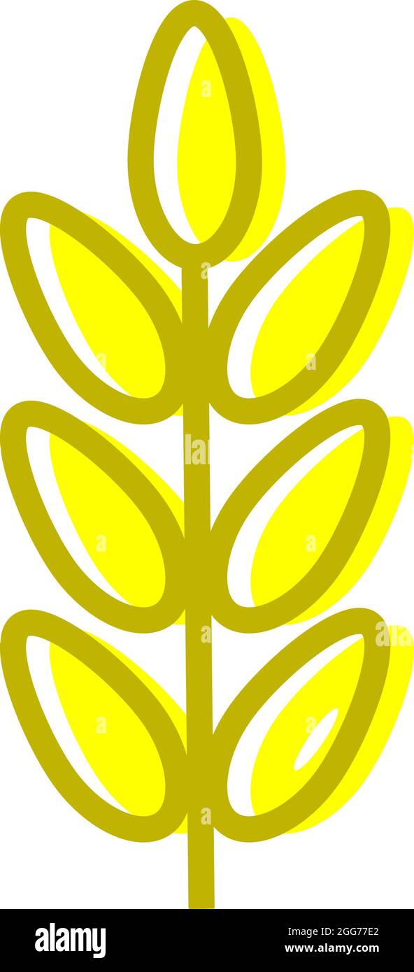 Grano giallo, illustrazione icona, vettore su sfondo bianco Illustrazione Vettoriale