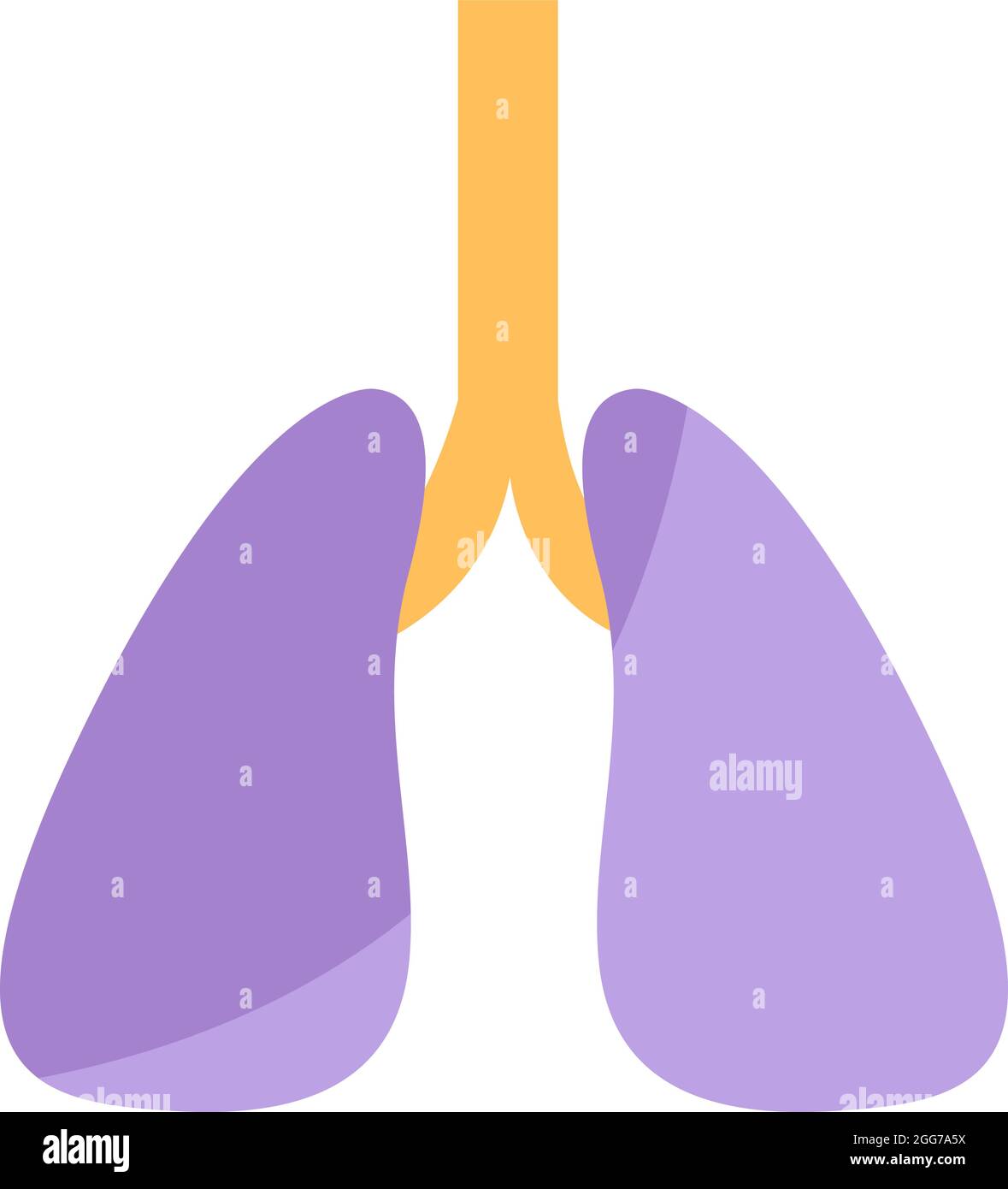 Polmoni sani, illustrazione di icone, vettore su sfondo bianco Illustrazione Vettoriale