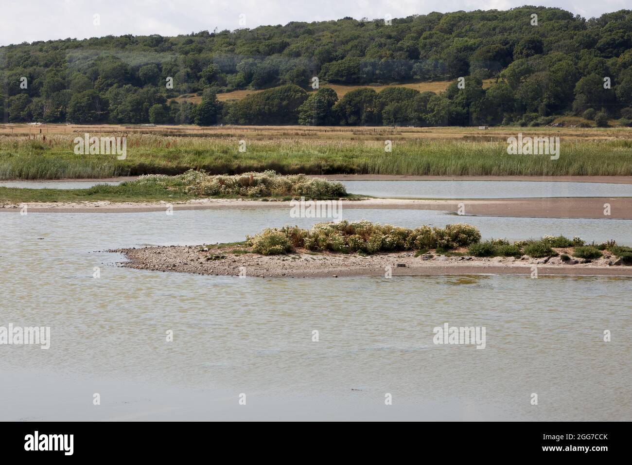 Lagune costiere presso la RSPB Leighton Moss Reserve sulle rive di Morecambe Bay Foto Stock