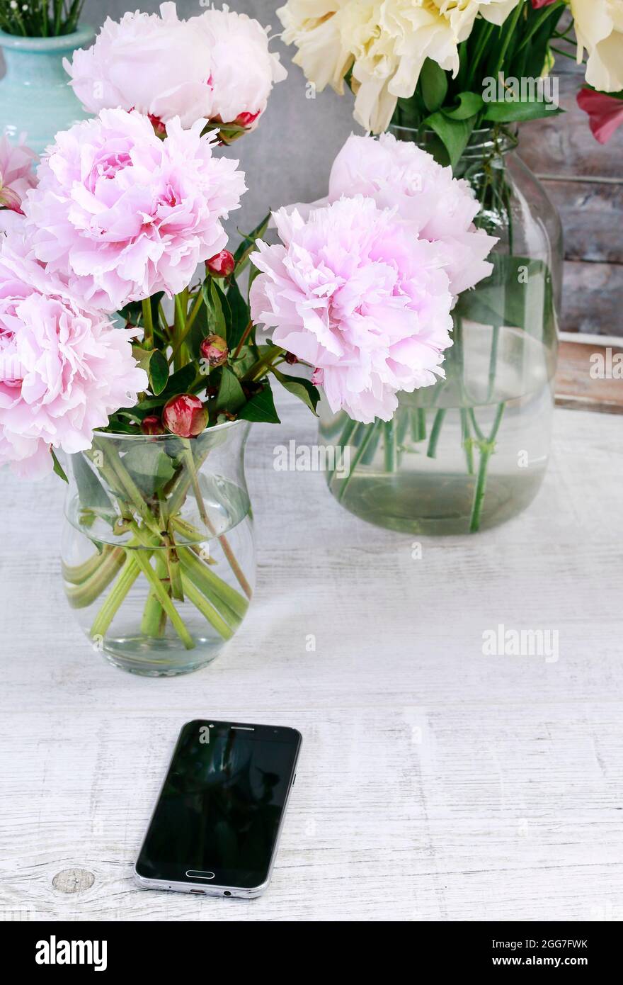 Peonie, rose e telefono cellulare. Fiori ordinati online. Foto Stock
