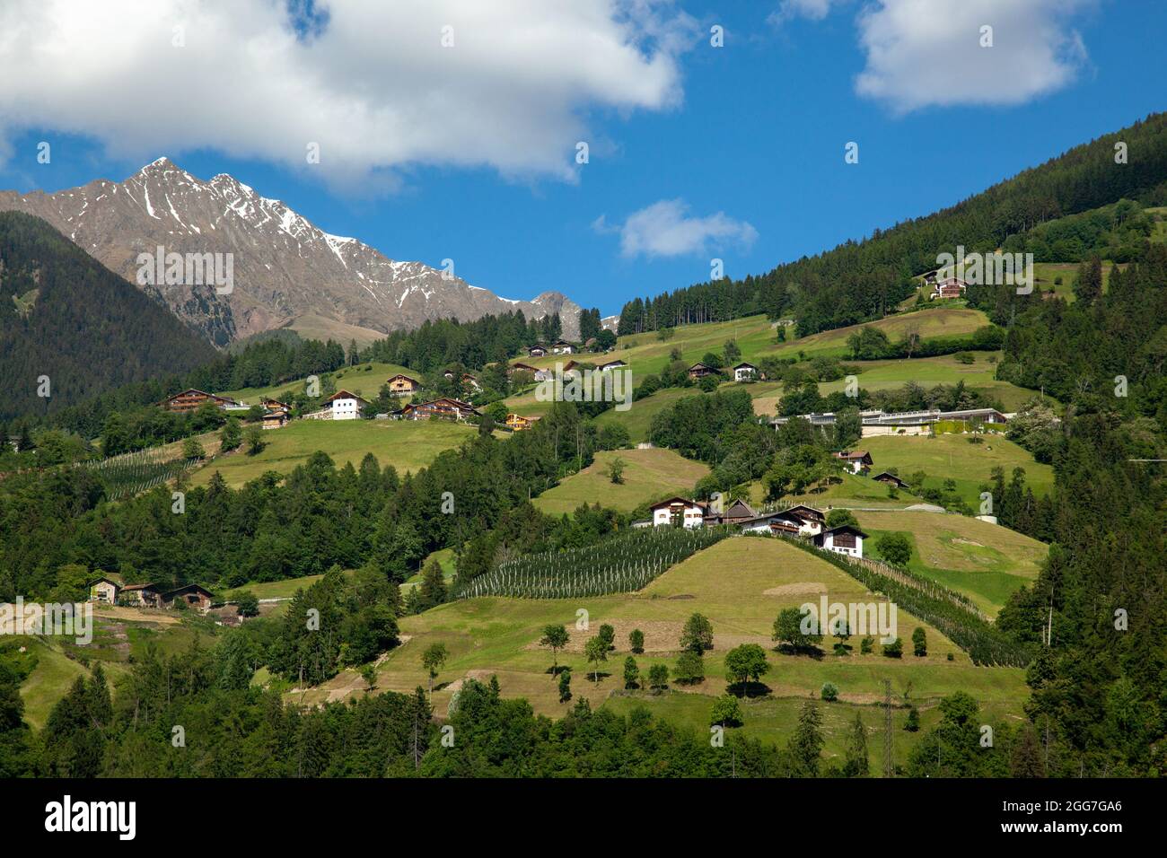 Il cielo nuvoloso sulle alte montagne con foreste di conifere, prati e cime Foto Stock