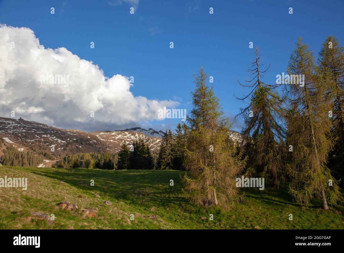 Il cielo nuvoloso sulle alte montagne con foreste di conifere, prati e cime Foto Stock