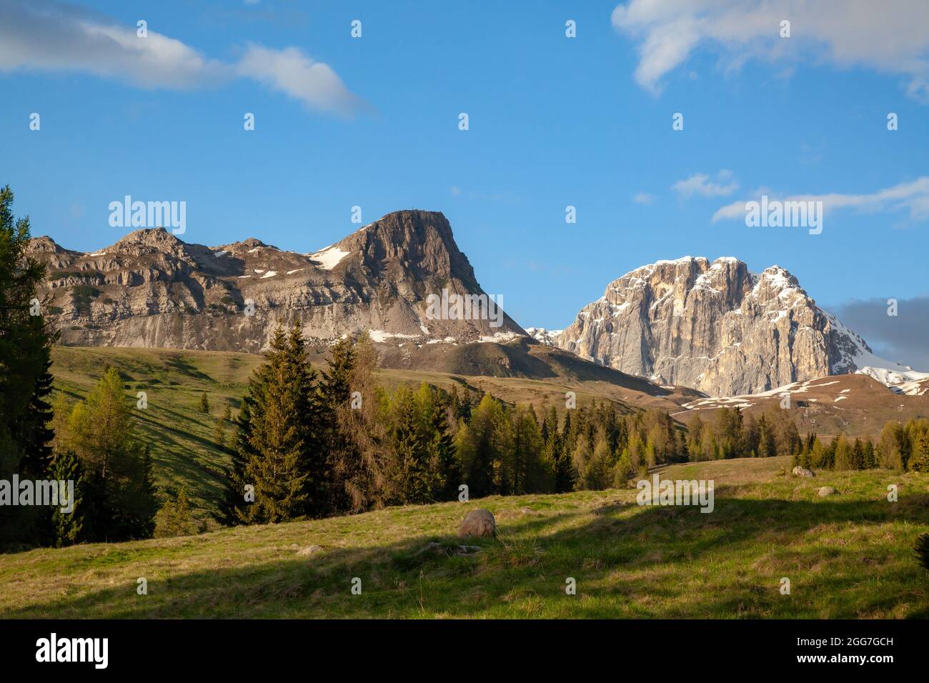 Il cielo blu sulle alte montagne con foreste di conifere, prati e cime Foto Stock