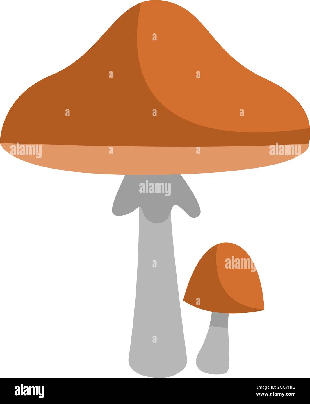 Funghi porcini marroni, illustrazione icona, vettore su sfondo bianco Illustrazione Vettoriale