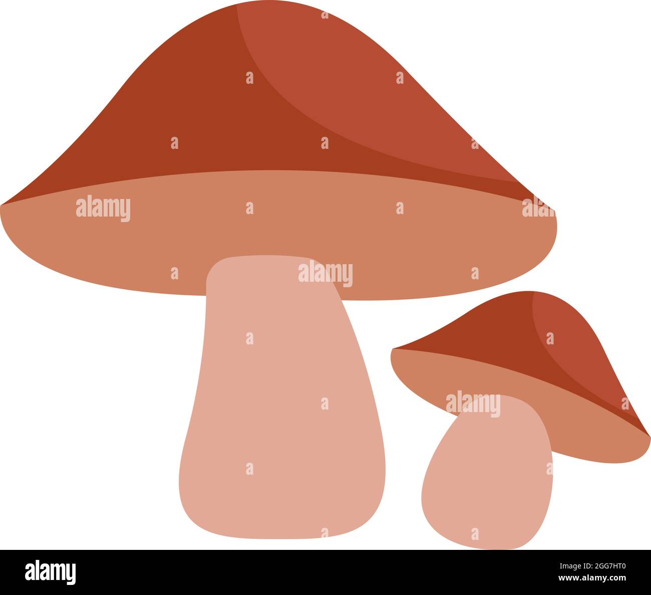 Due funghi porcini marroni, illustrazione icona, vettore su sfondo bianco Illustrazione Vettoriale