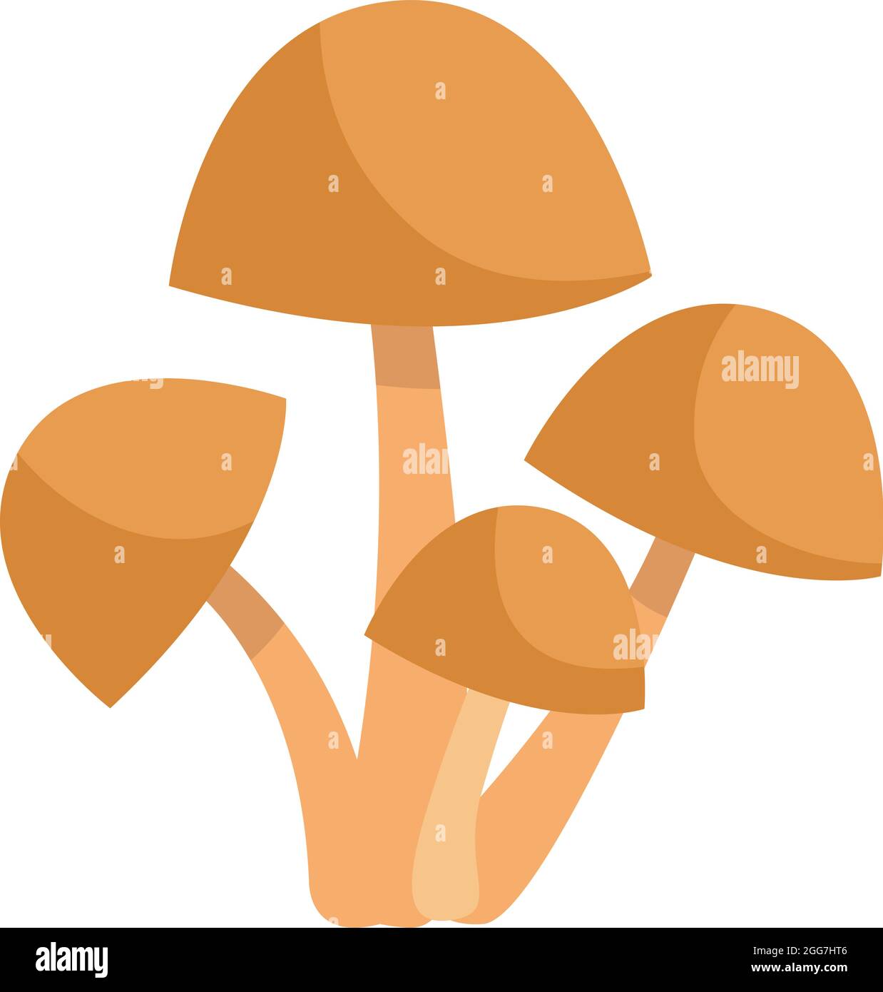 Funghi porcini al miele marroni, illustrazione di icone, vettore su sfondo bianco Illustrazione Vettoriale