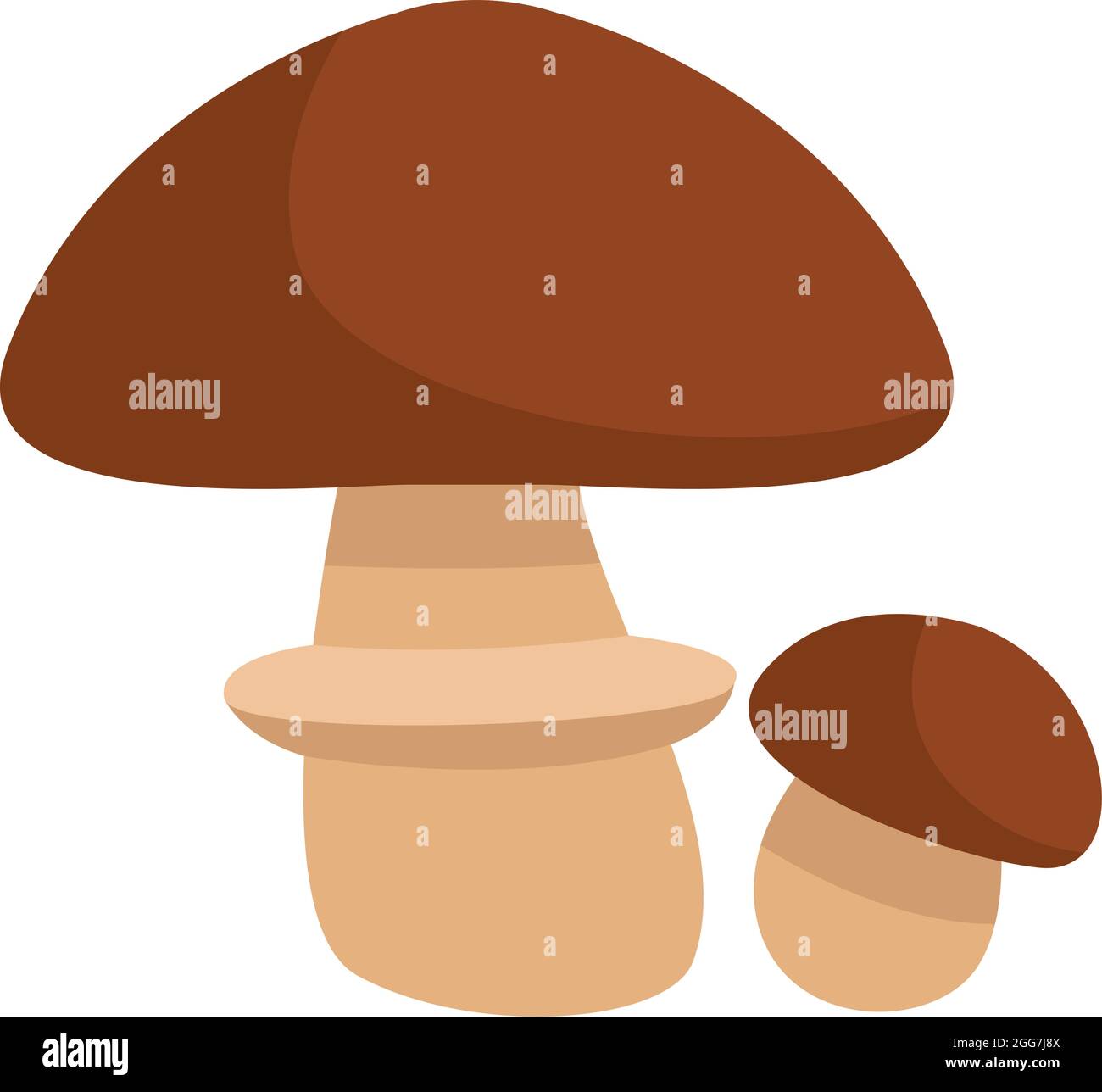 Fungo di suillus marrone, illustrazione di icone, vettore su sfondo bianco Illustrazione Vettoriale