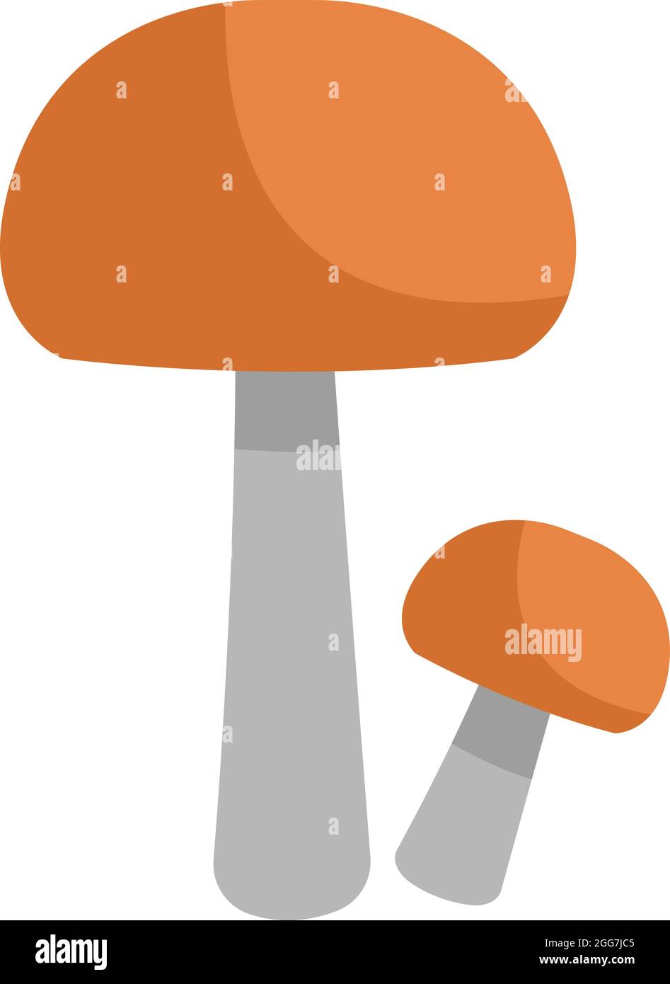 Fungo con cappuccio arancione, illustrazione di icone, vettore su sfondo bianco Illustrazione Vettoriale