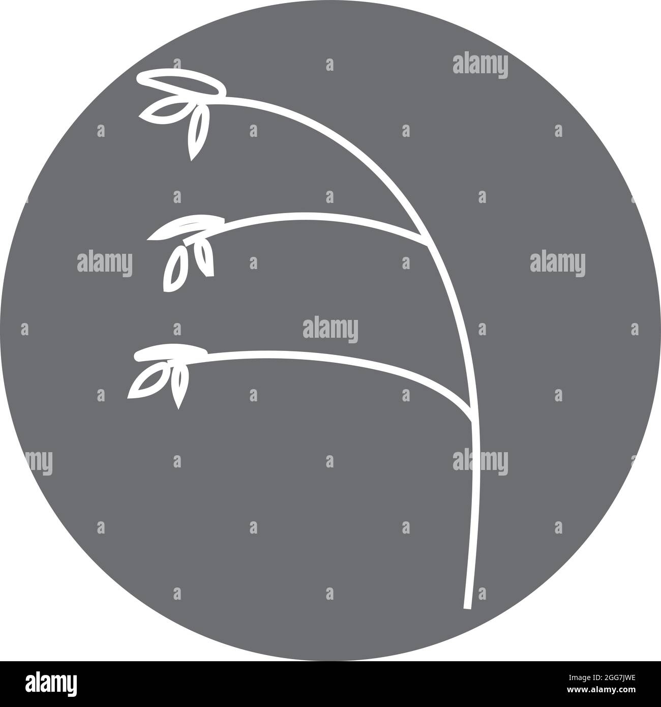 Pianta del basilico, illustrazione dell'icona, vettore su sfondo bianco Illustrazione Vettoriale