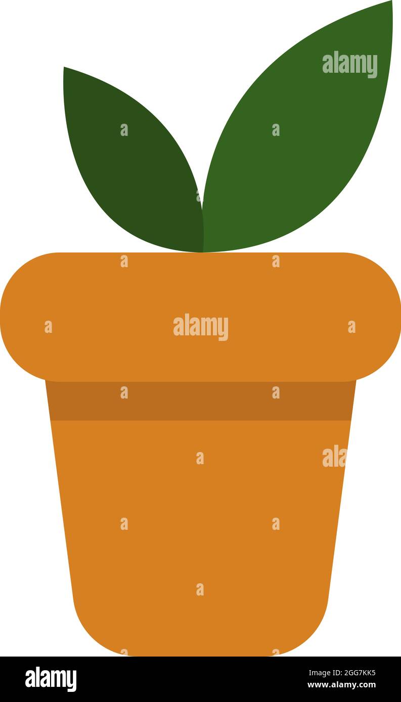 Pianta con due grandi foglie, icona illustrazione, vettore su sfondo bianco Illustrazione Vettoriale