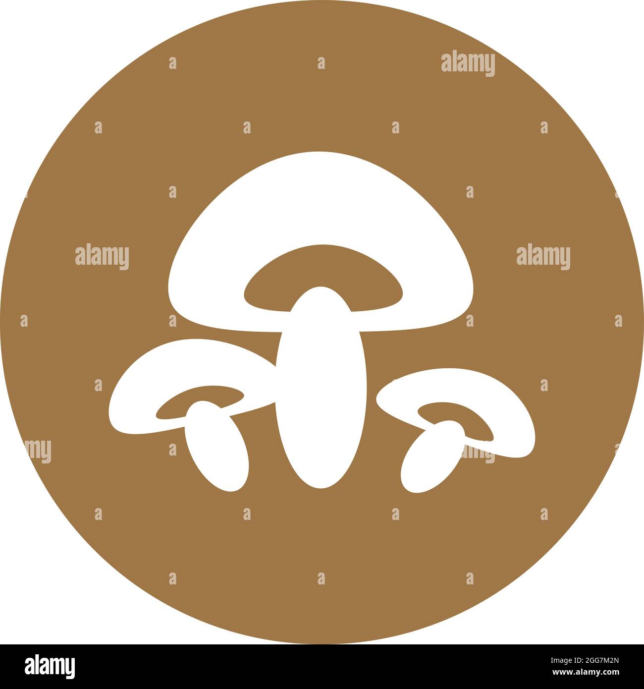 Funghi di faggio, illustrazione di icone, vettore su sfondo bianco Illustrazione Vettoriale