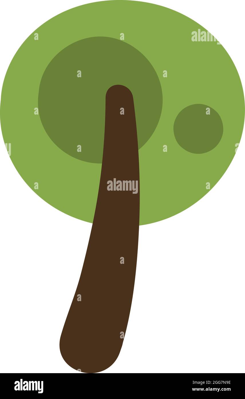 Bay lauren albero, icona illustrazione, vettore su sfondo bianco Illustrazione Vettoriale