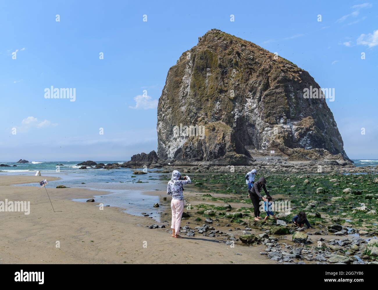 Famiglia con bambini piccoli che giocano di fronte a Haystack Rock al Cannon Beach, Oregon, USA. Foto Stock