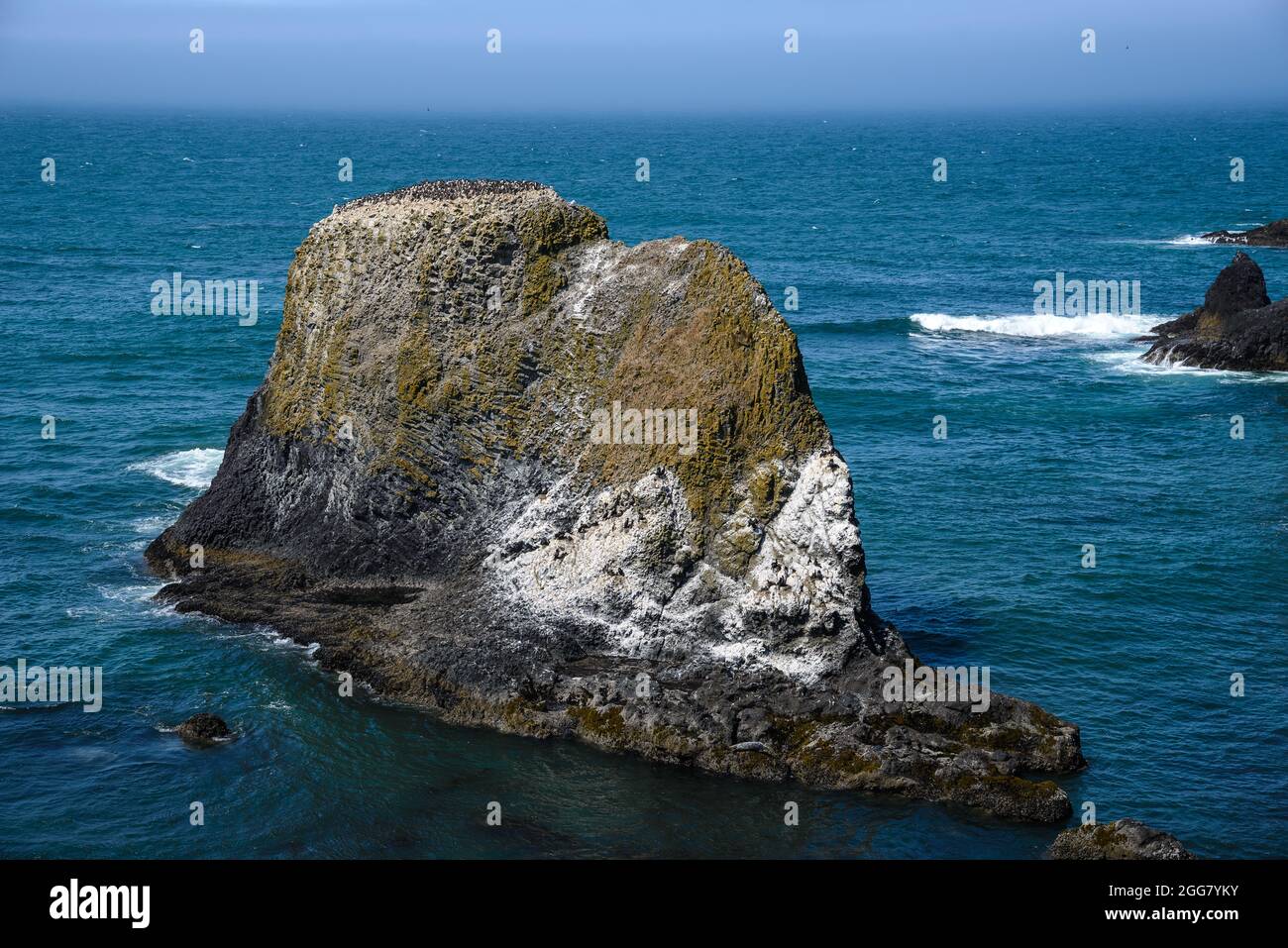 Colonia di uccelli marini su affioramenti rocciosi lungo la costa del Pacifico. Oregon, Stati Uniti. Foto Stock