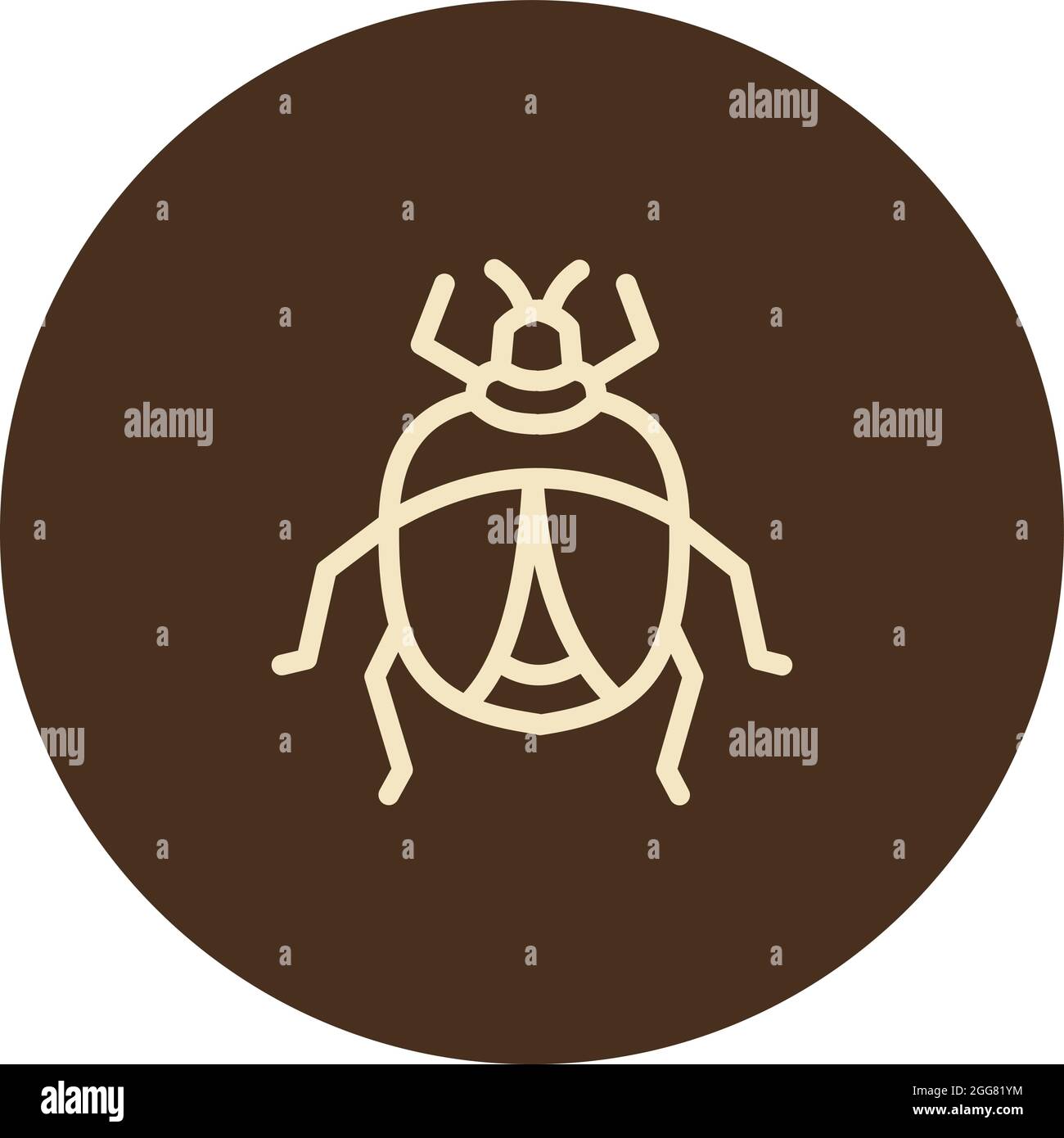 Bug con ali, illustrazione, su sfondo bianco. Illustrazione Vettoriale