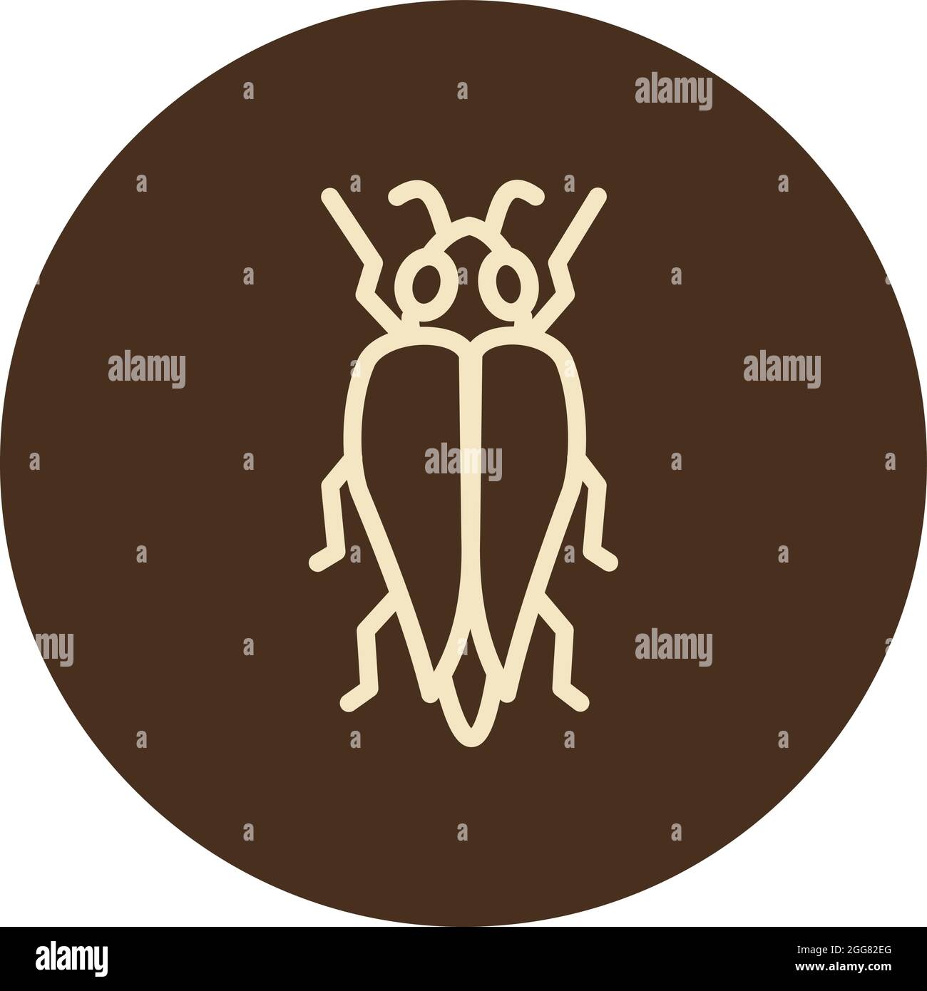 Bug con ali, illustrazione, su sfondo bianco. Illustrazione Vettoriale