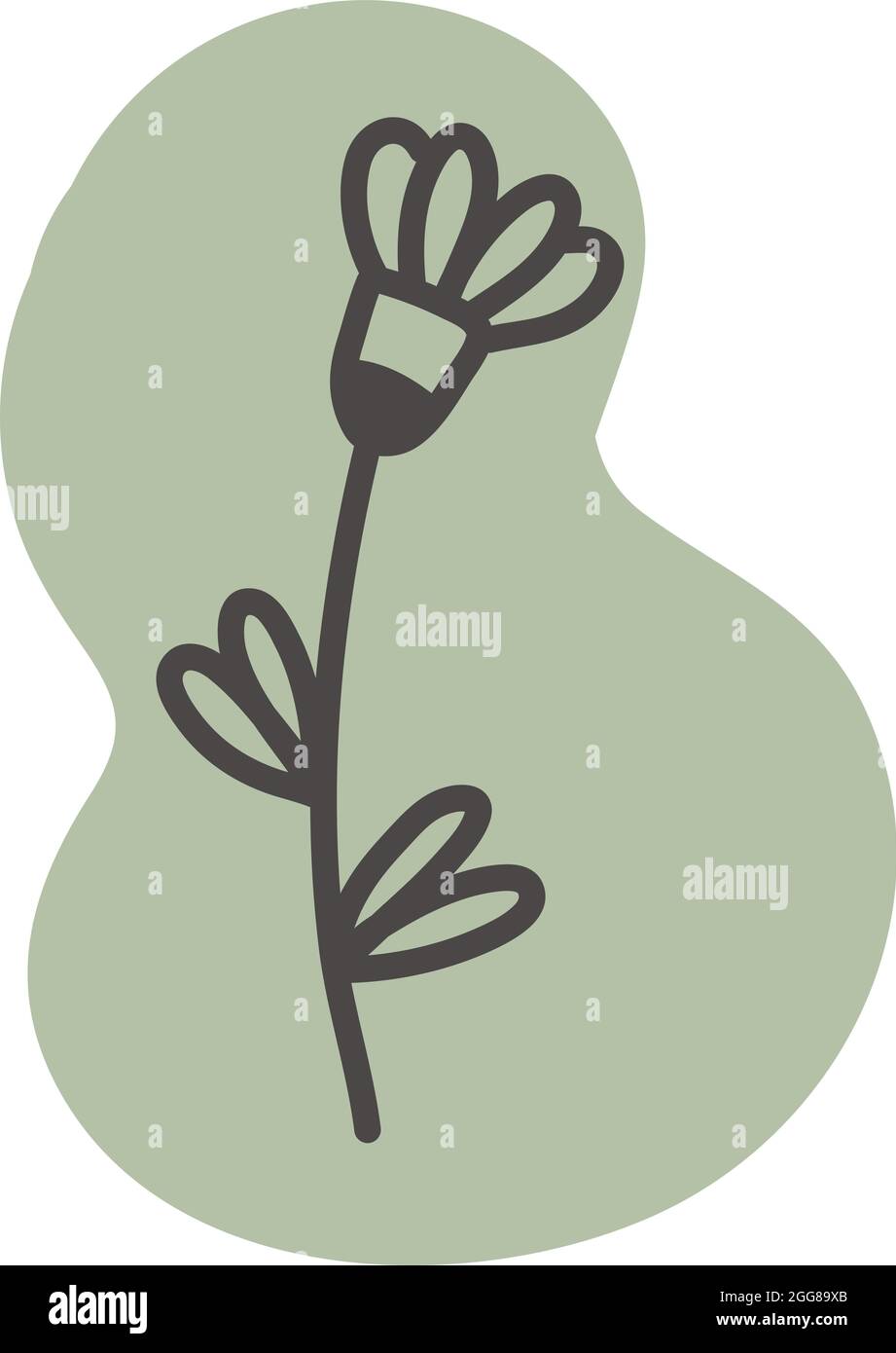 Girasole verde, illustrazione, vettore su sfondo bianco. Illustrazione Vettoriale