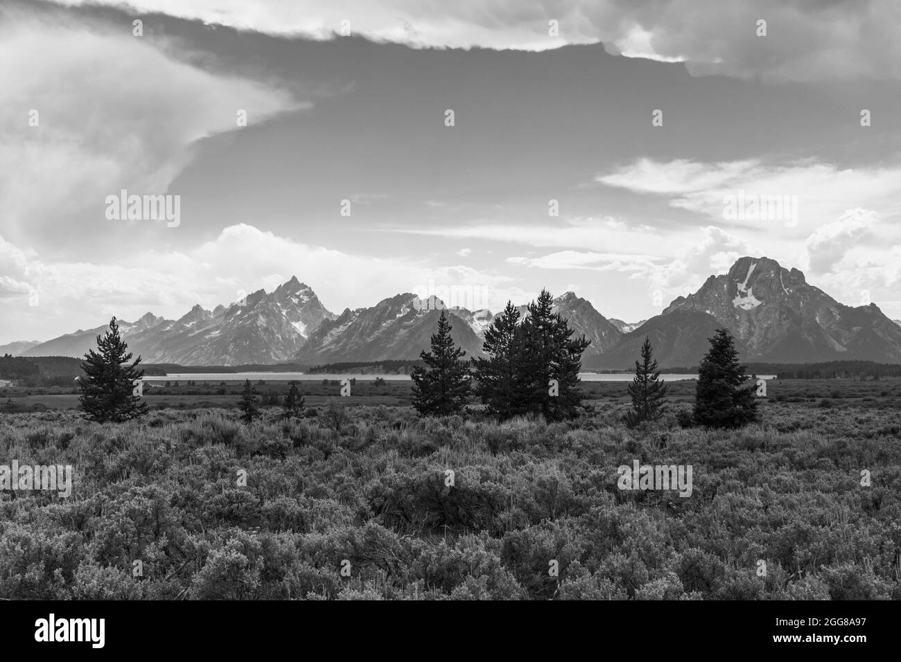 La gamma Teton sale nettamente al di sopra della steppa di salvia nel Grand Teton National Park, Wyoming, USA Foto Stock