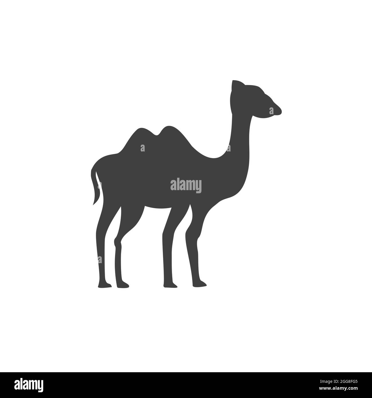 Icona del cammello illustrazione vettoriale design Foto Stock