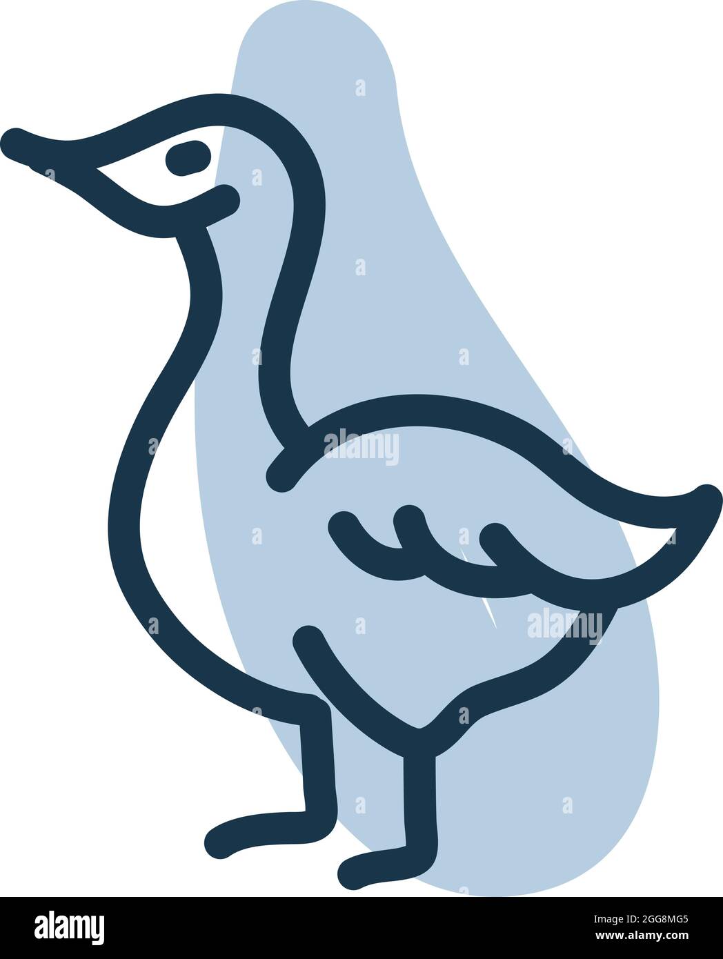 Anatra domestica, illustrazione, vettore, su sfondo bianco. Illustrazione Vettoriale