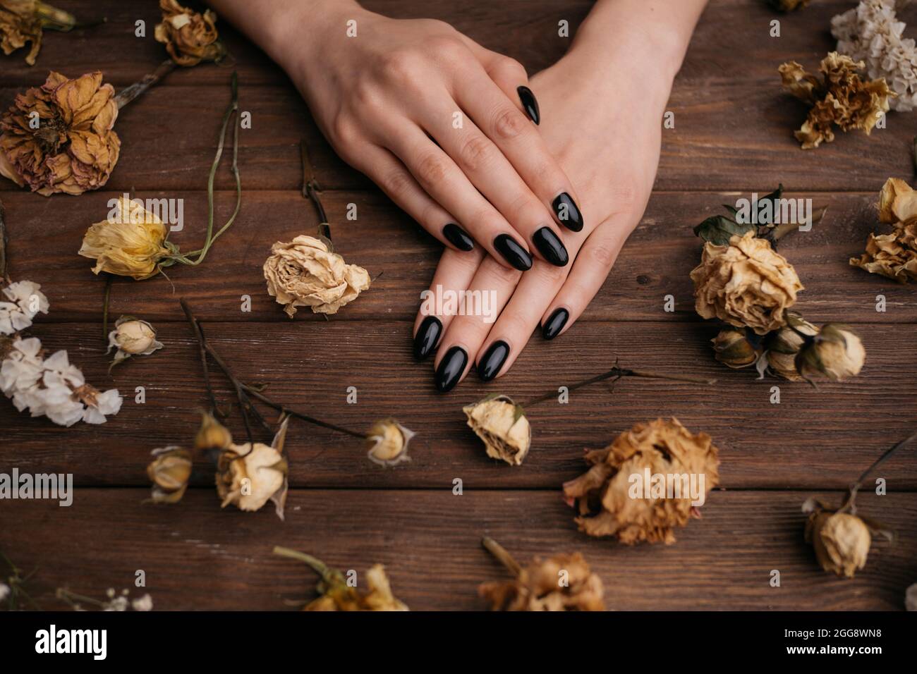 Giovani mani femminili con manicure di colore nero tra bellissimi fiori secchi su sfondo di legno. Foto Stock