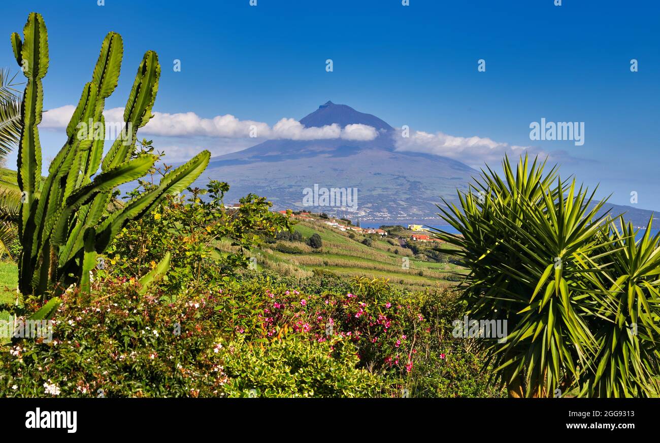 Isola Pico con vulcano Monte Pico, Azzorre - vista dall'isola Faial Foto Stock