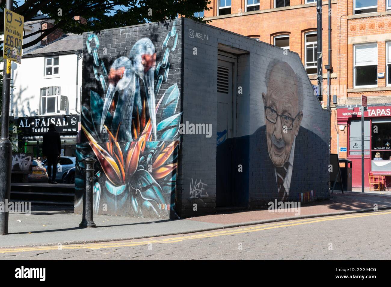 Capitan Tom Street art Tib Street, Northern Quarter, Manchester UK Foto Stock