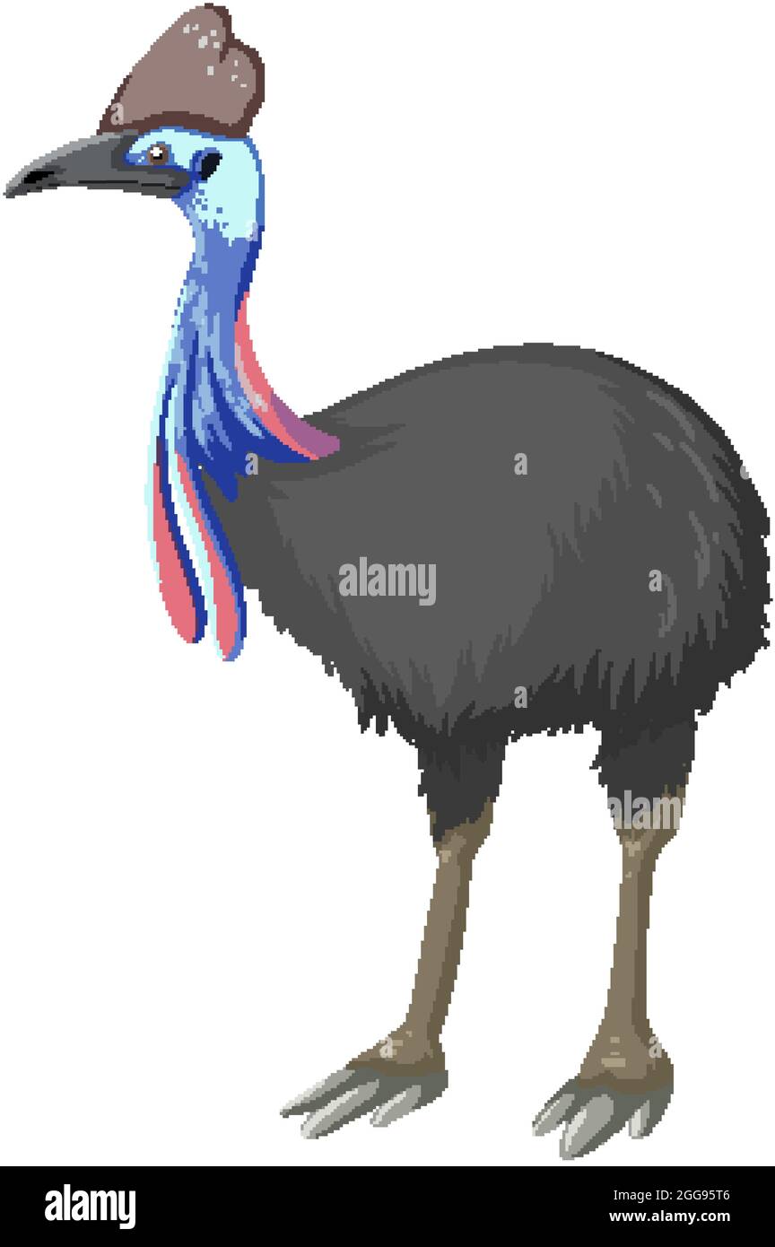 Cartoon Cassowary isolato su sfondo bianco illustrazione Illustrazione Vettoriale