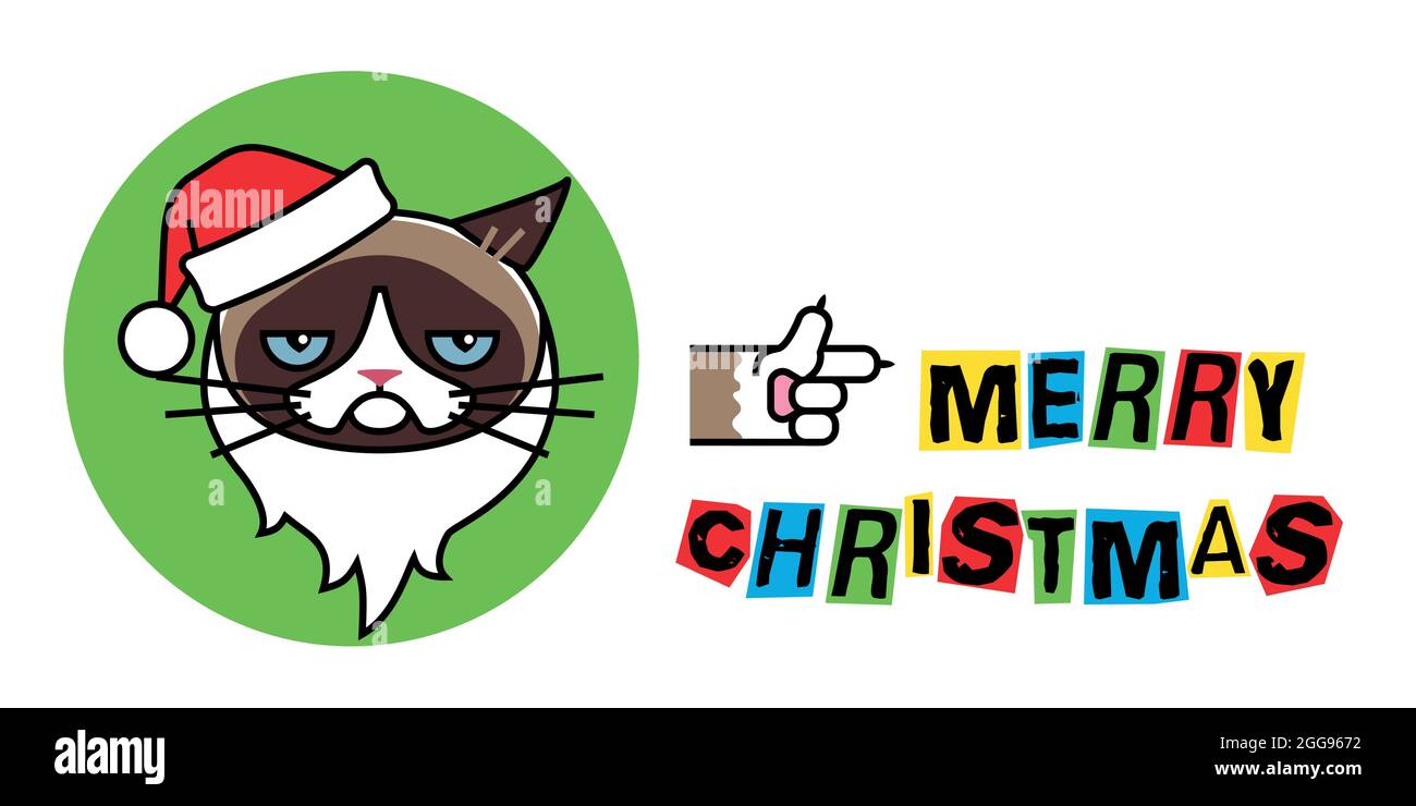 Grumpy Babbo Natale gatto in cappello di natale Illustrazione Vettoriale