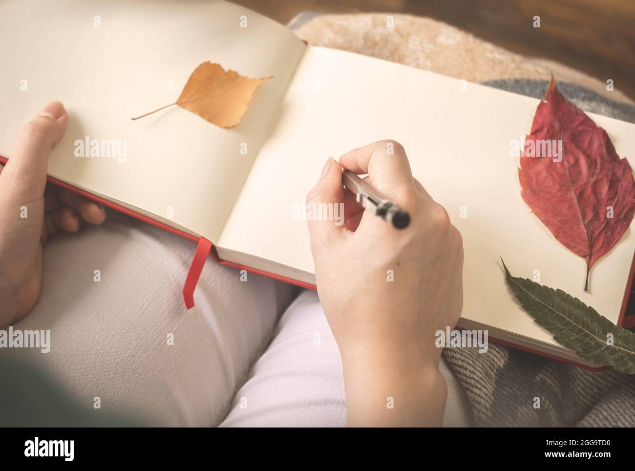 La giovane donna scrive al suo vecchio diario con foglie d'autunno. Accogliente sfondo autunnale Foto Stock