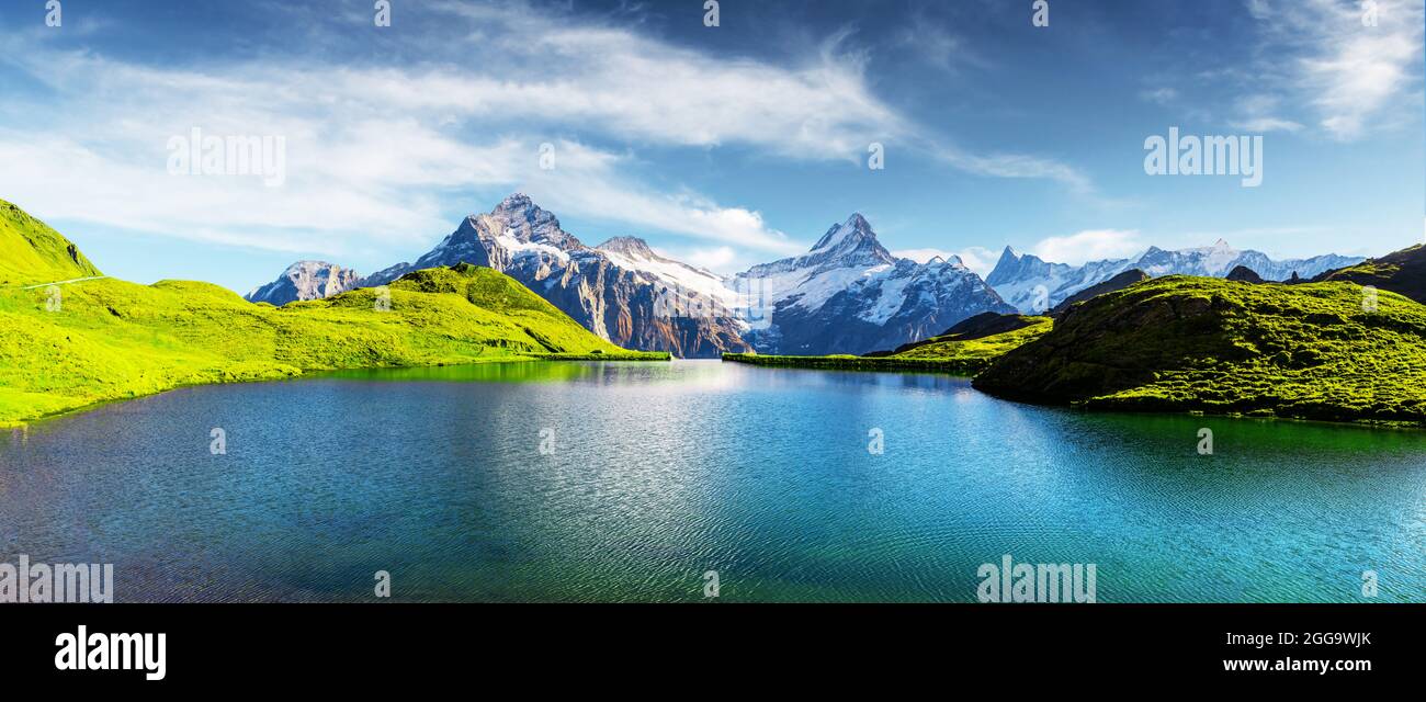Panorama del lago di Bachalpsee sulle Alpi svizzere. Cime innevate di Wetterhorn, Mittelhorn e Rosenhorn sullo sfondo. Valle di Grindelwald, Svizzera. Fotografia di paesaggio Foto Stock