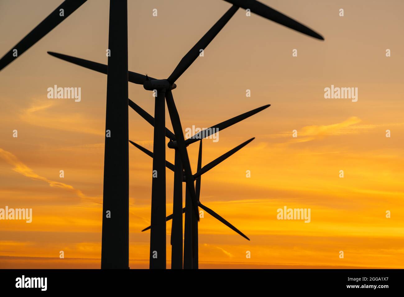 Generatori di energia di turbine eoliche su una fattoria eolica Foto Stock