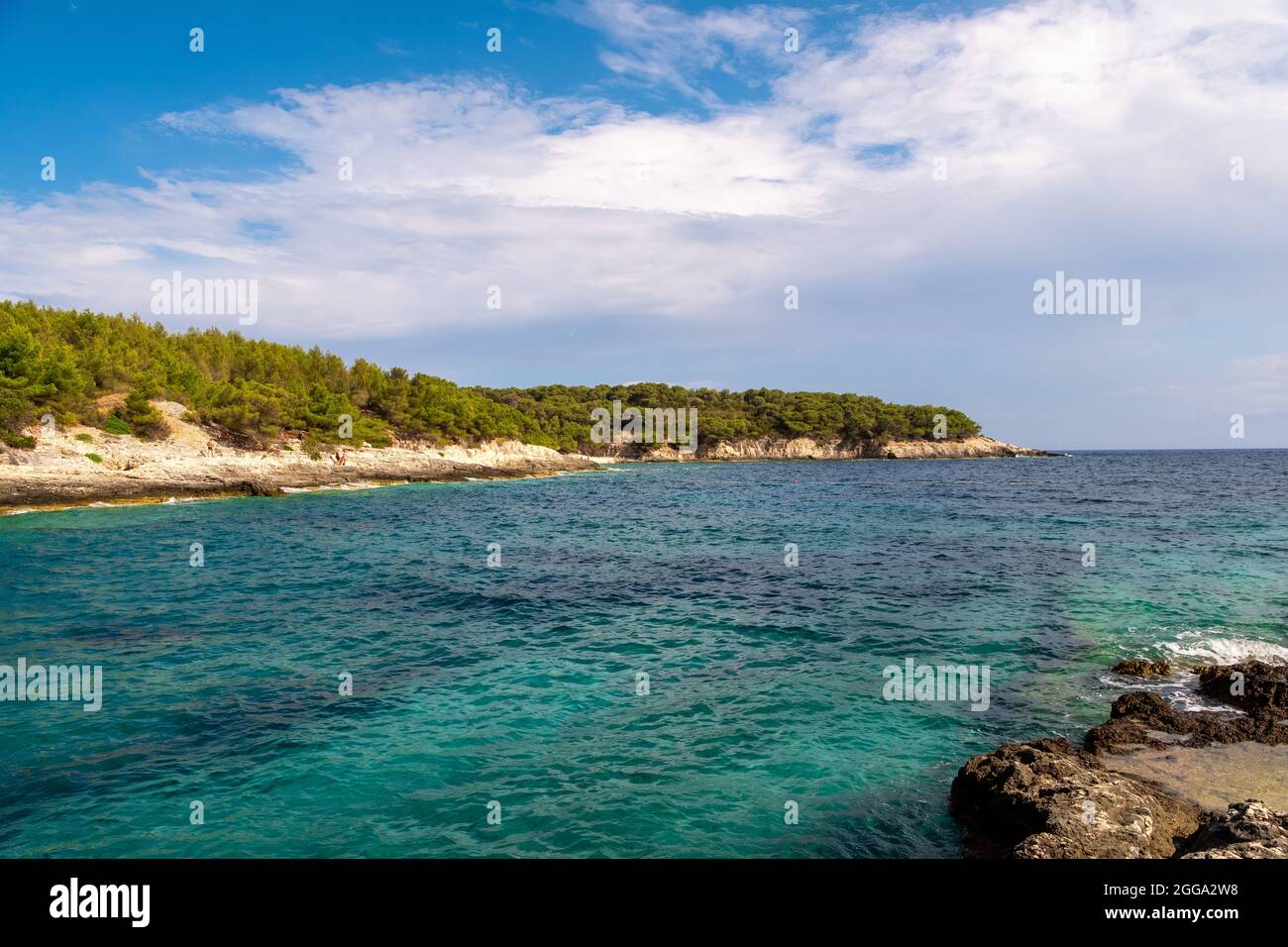 Spiaggia di Srebrna sull'isola di Vis in Croazia, vista dall'altra spiaggia distante. Coste rocciose della croazia, cielo azzurro e pini verdi. Foto Stock