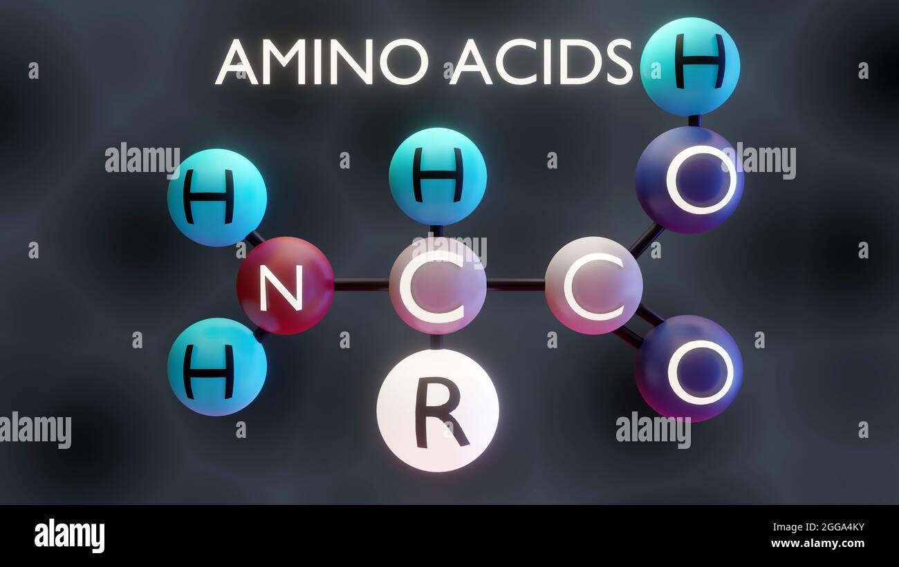 Struttura molecolare degli amminoacidi, illustrazione 3d Foto Stock