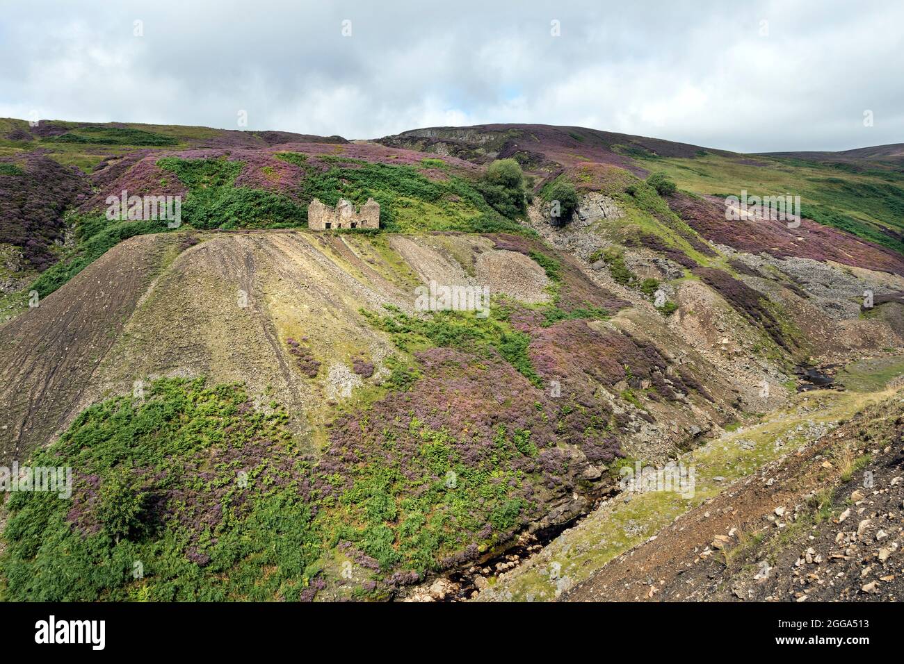 La natura lentamente richiama il paesaggio industriale che circonda la miniera di Bunton a Gunnerside Gill, Swaledale, Yorkshire Dales, Regno Unito Foto Stock