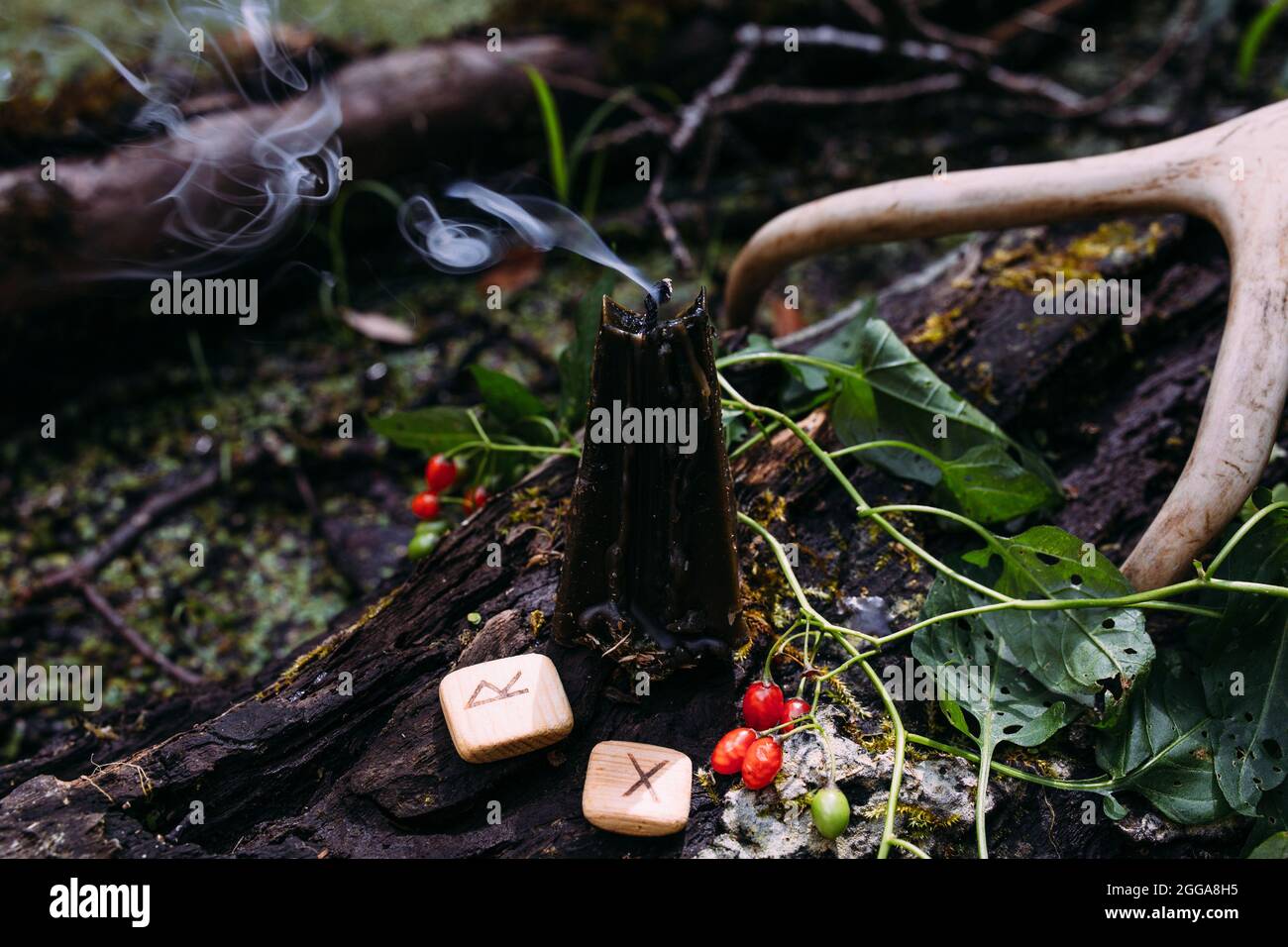 Concetto occulto, esoterico, divinazione e wicca. Halloween sfondo vintage Foto Stock