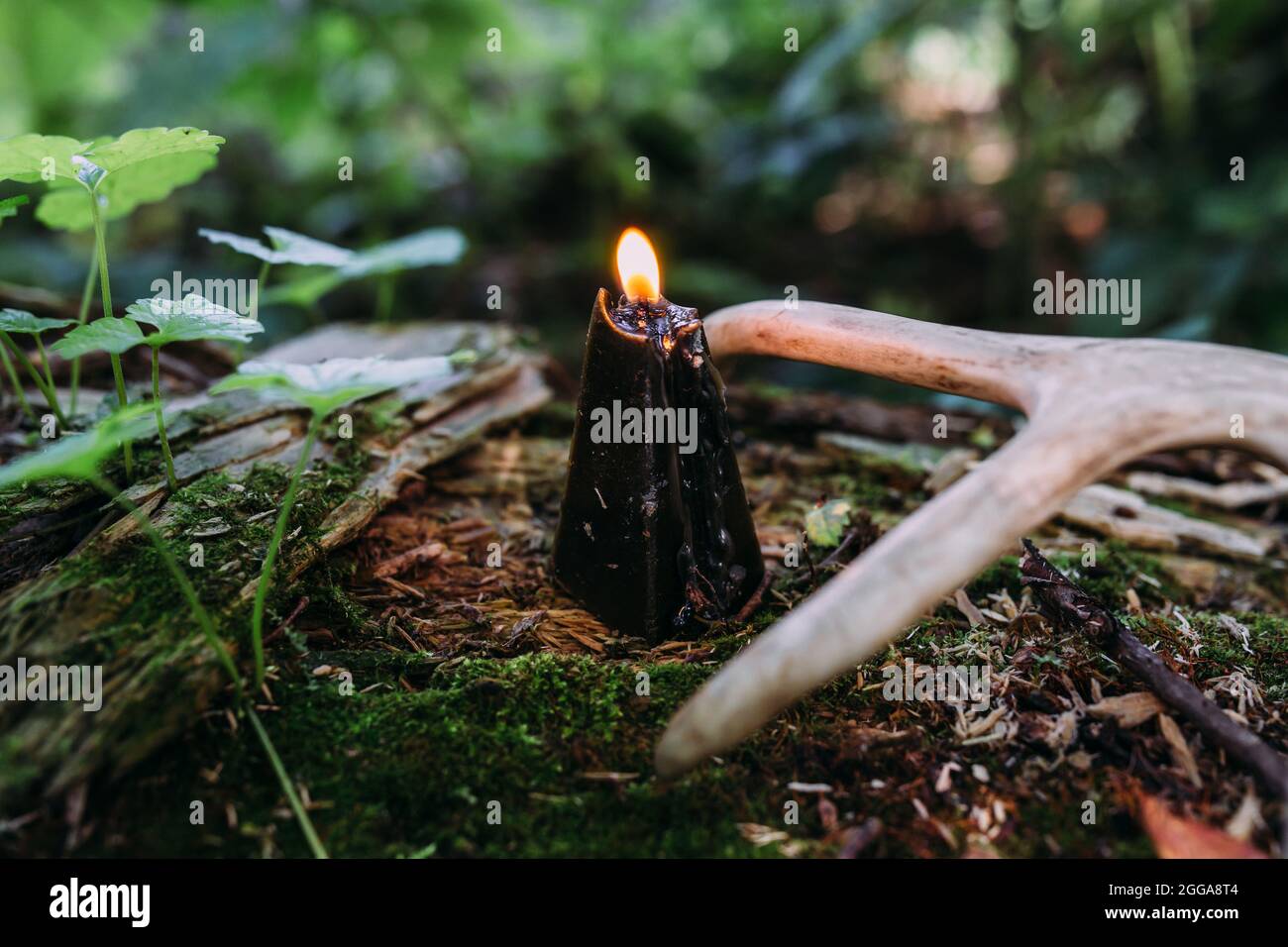 Concetto occulto, esoterico, divinazione e wicca. Halloween sfondo vintage Foto Stock