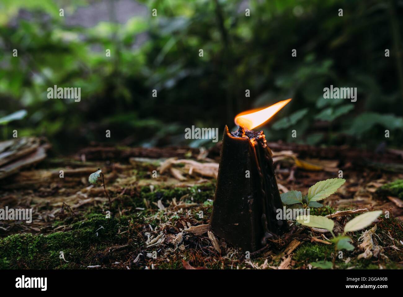 Concetto occulto, esoterico, divinazione e wicca. Halloween sfondo vintage Foto Stock