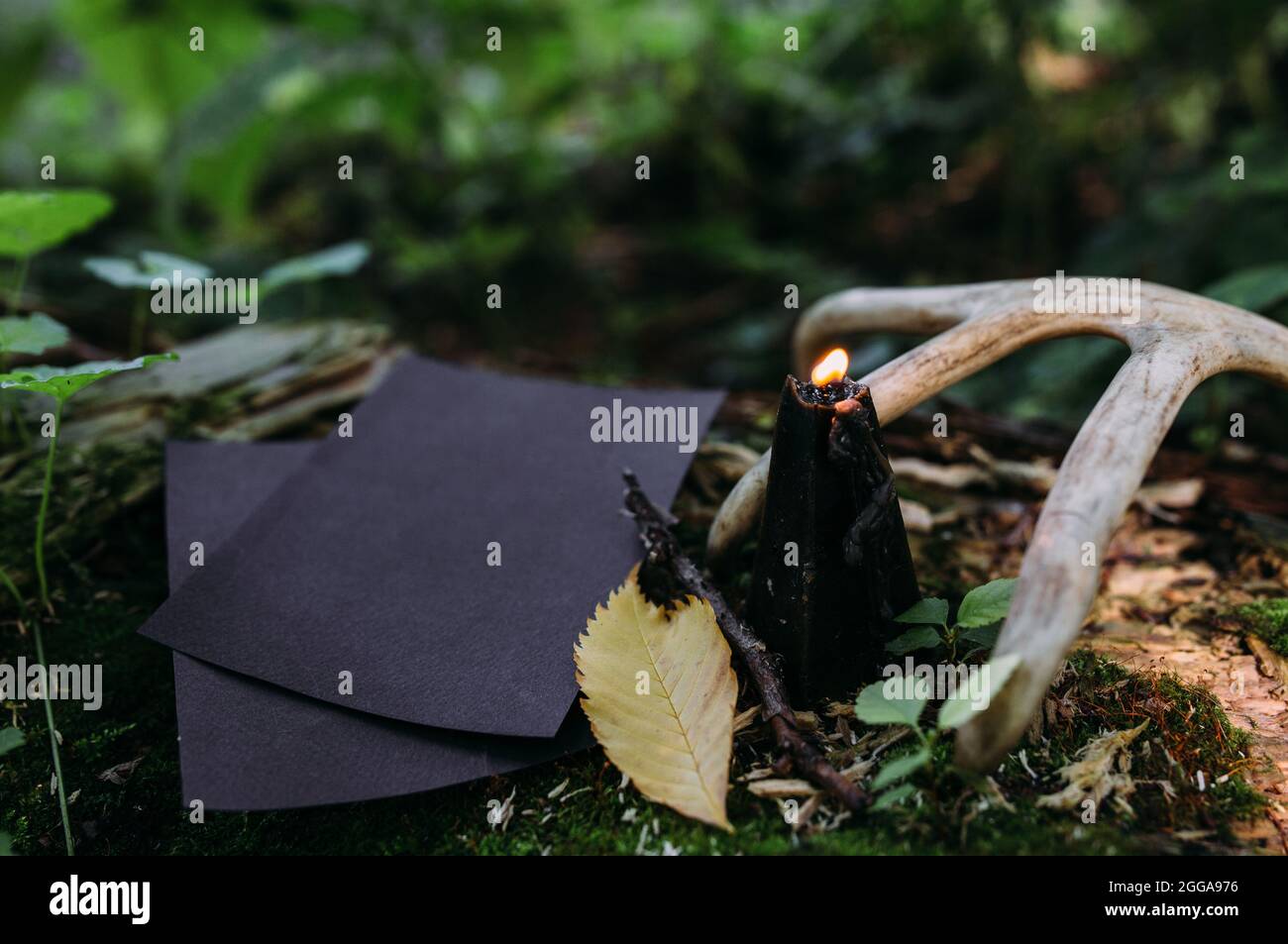Mockup di carta artigianale nera, candela nera sullo sfondo della natura magica foresta Foto Stock