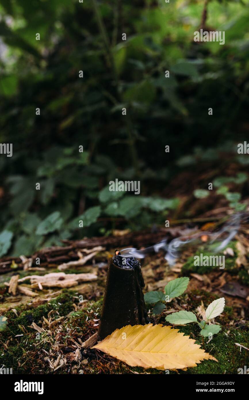 Concetto occulto, esoterico, divinazione e wicca. Halloween sfondo vintage Foto Stock