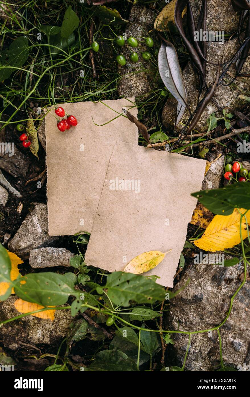 Modello di mockup di carta artigianale sullo sfondo della foresta magica autunno natura Foto Stock
