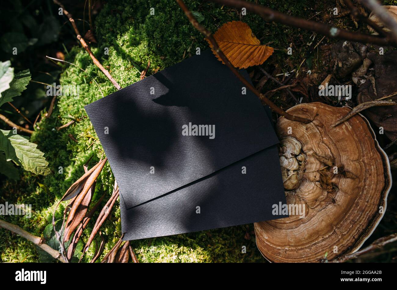 Modello di mockup nero di carta artigianale sullo sfondo della natura magica foresta Foto Stock