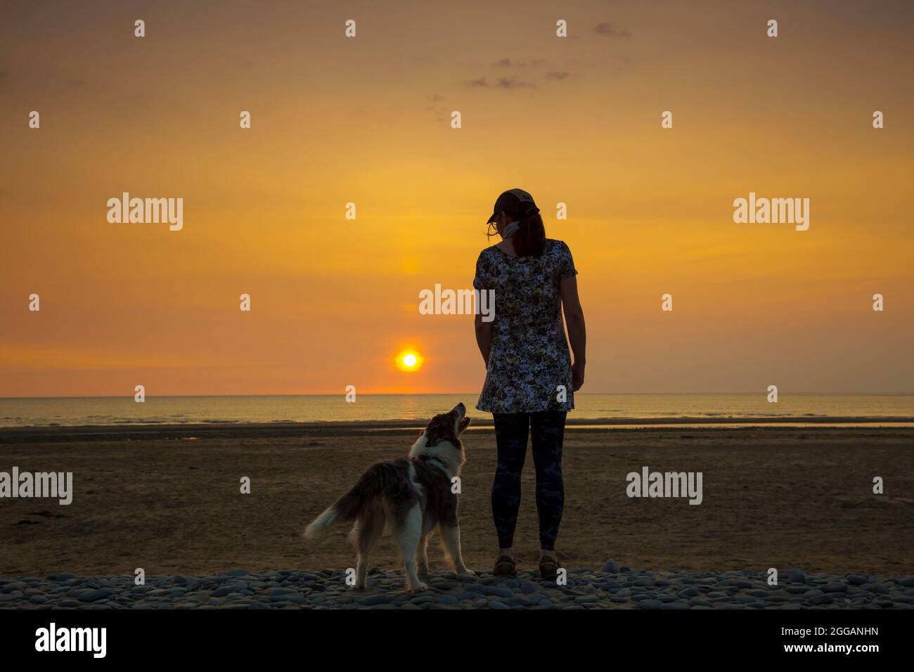 Vista posteriore della giovane donna isolata e cane da compagnia che guarda al mare al tramonto su una spiaggia del Regno Unito, vacanza estiva staycation. I migliori amici insieme. Foto Stock